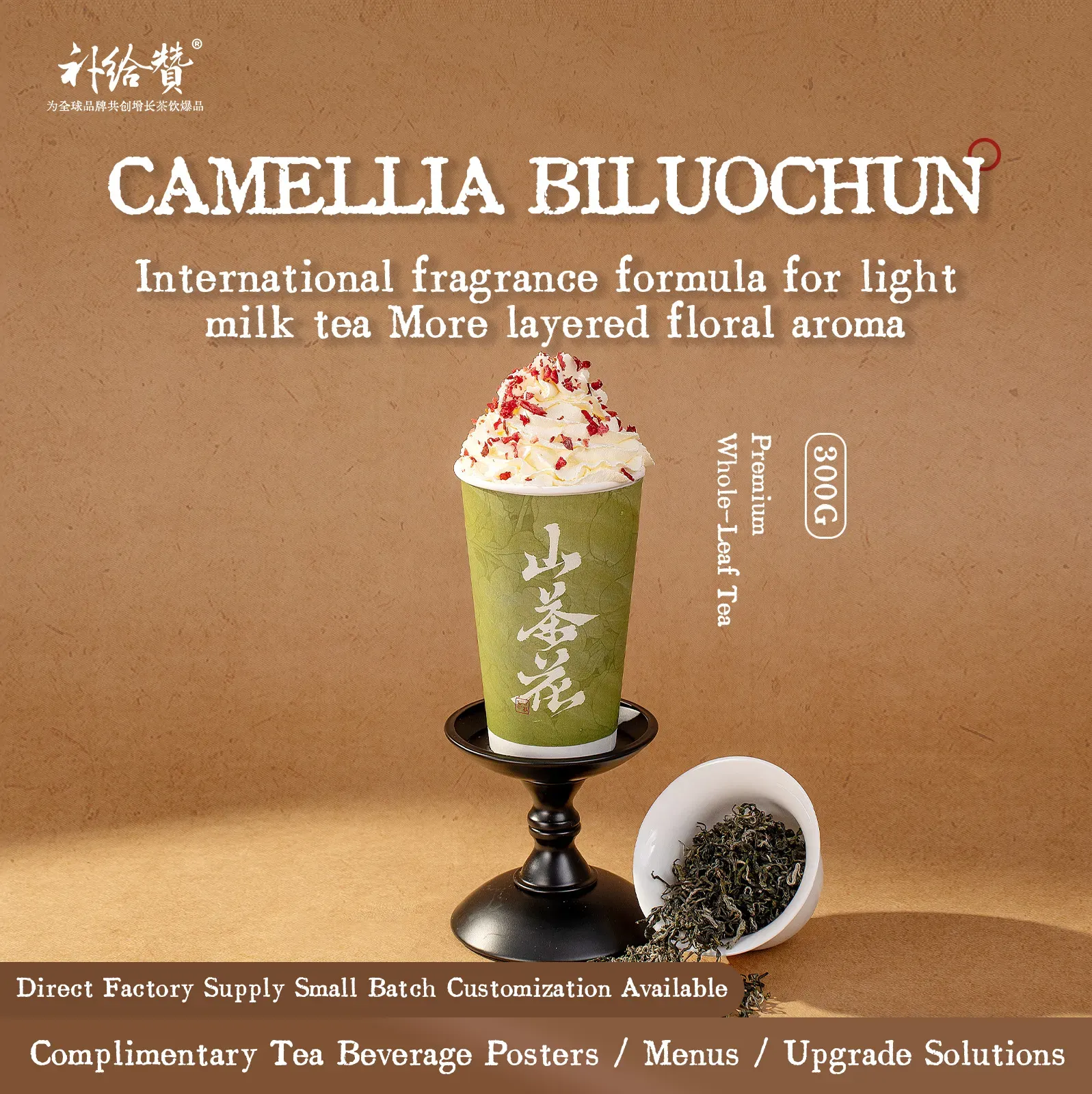Camellia Bi Luo Chun