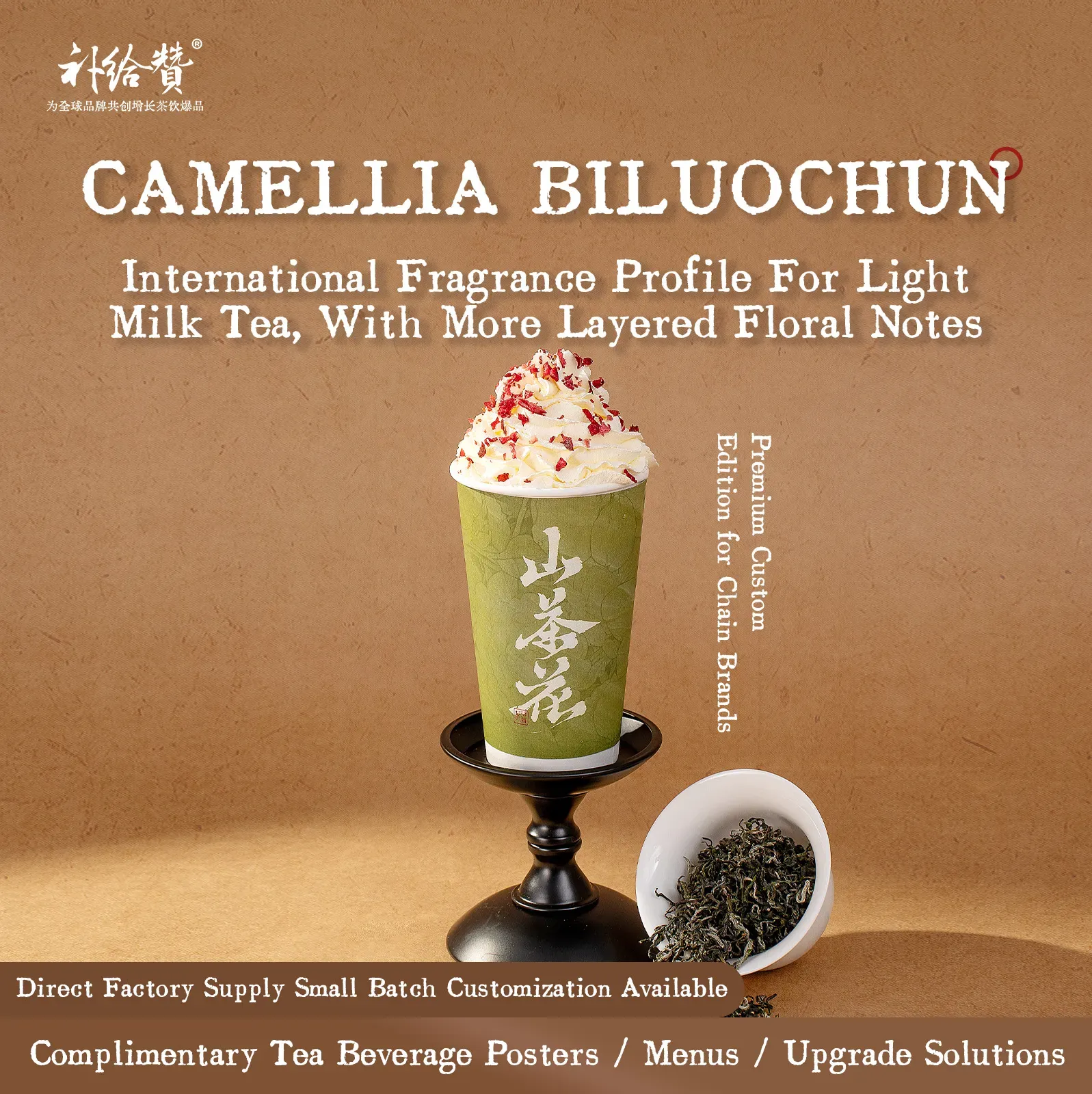 Camellia Bi Luo Chun