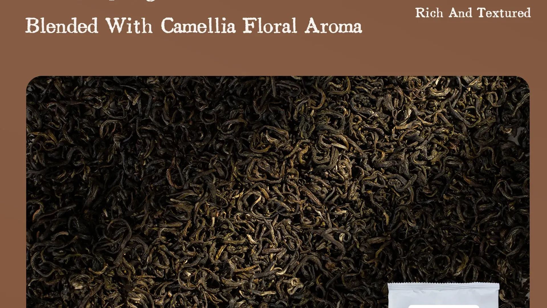 Camellia Bi Luo Chun 2