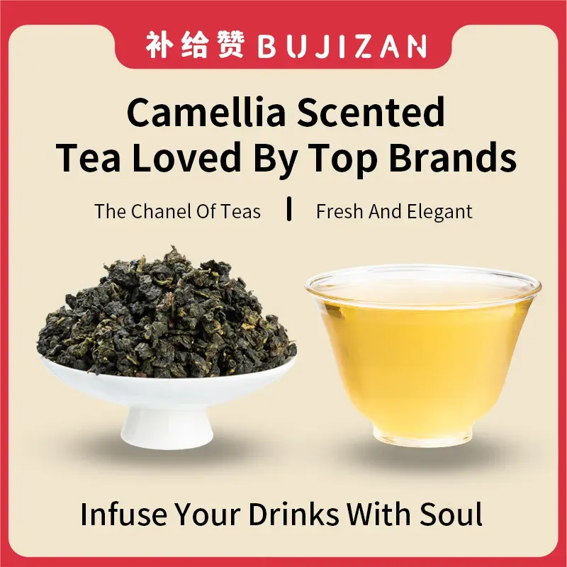 Camellia Oolong 2