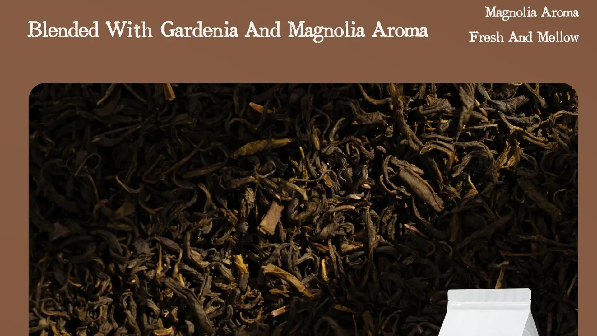Gardenia Magnolia 2