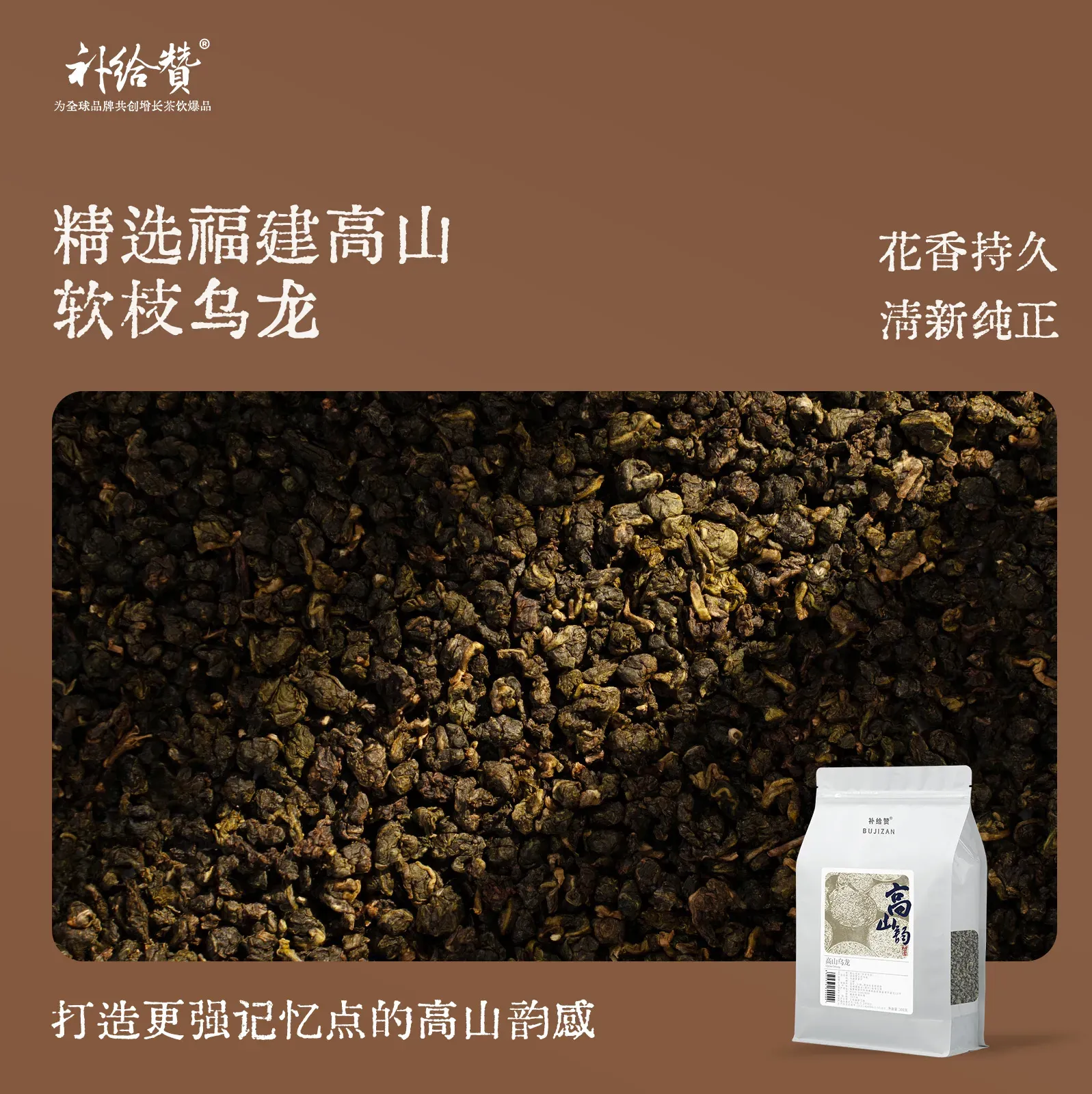 高山乌龙 2