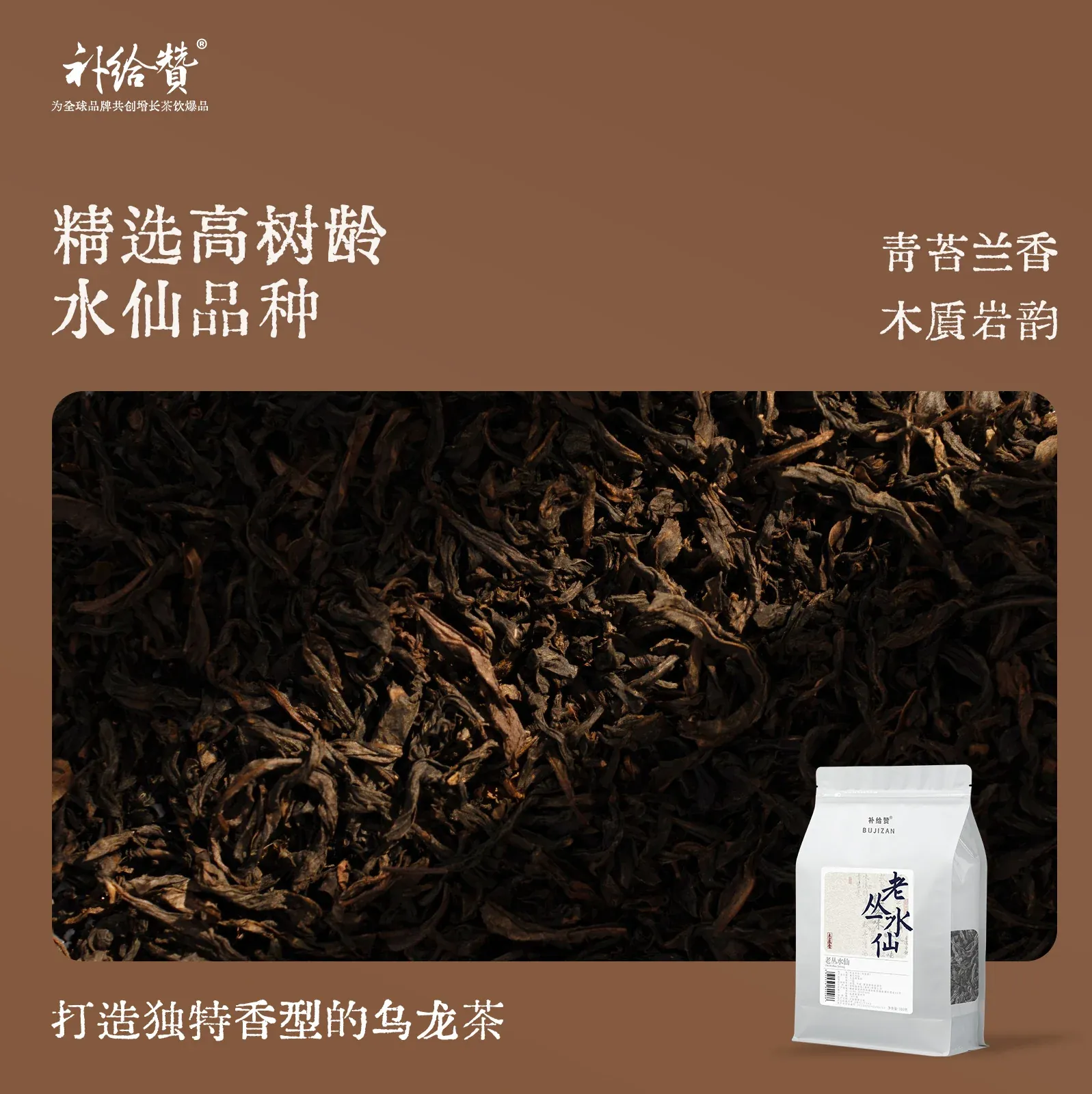 老丛水仙 2