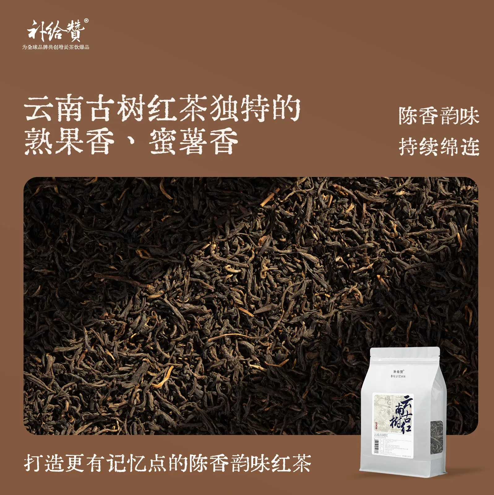 云南古树红 2