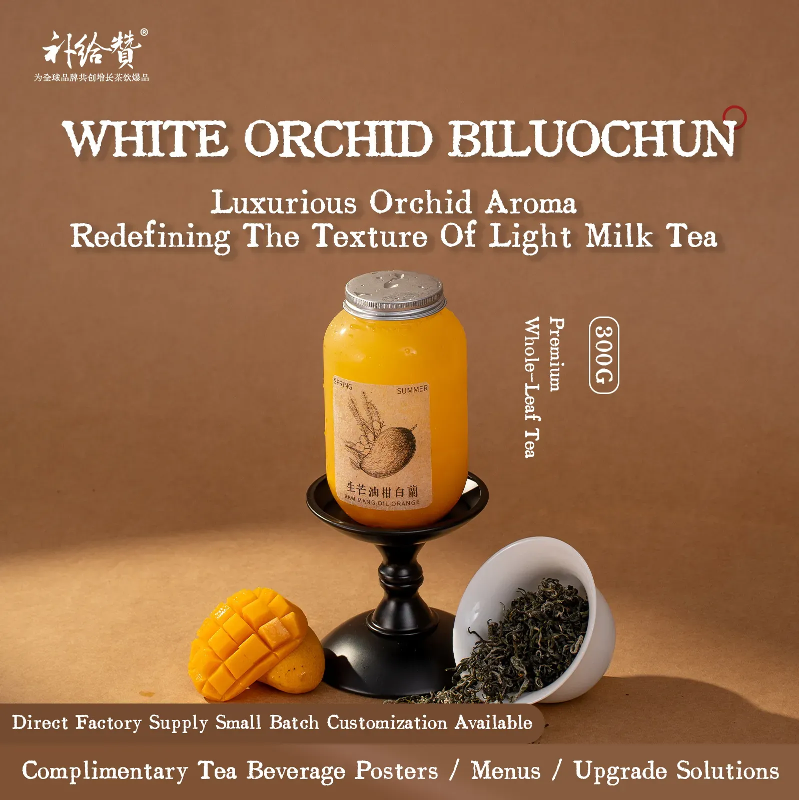 Magnolia Bi Luo Chun