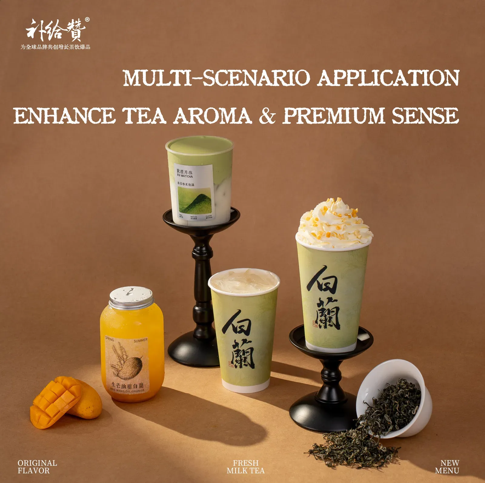 Magnolia Bi Luo Chun 3