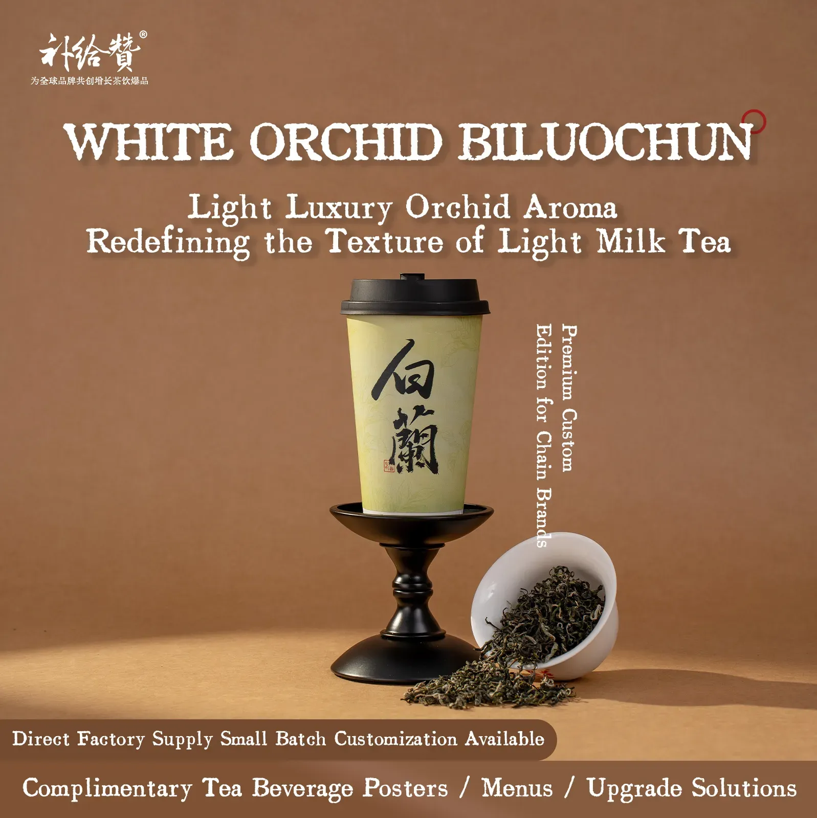Magnolia Bi Luo Chun