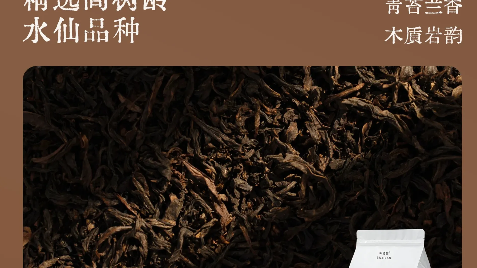 老丛水仙 2