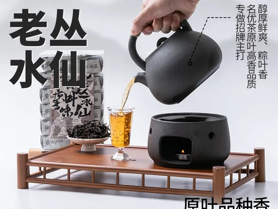 老丛水仙