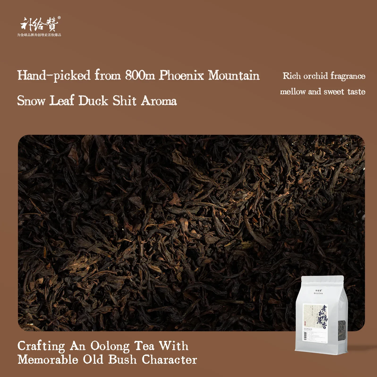 Old Bush Ya Shi Xiang 2