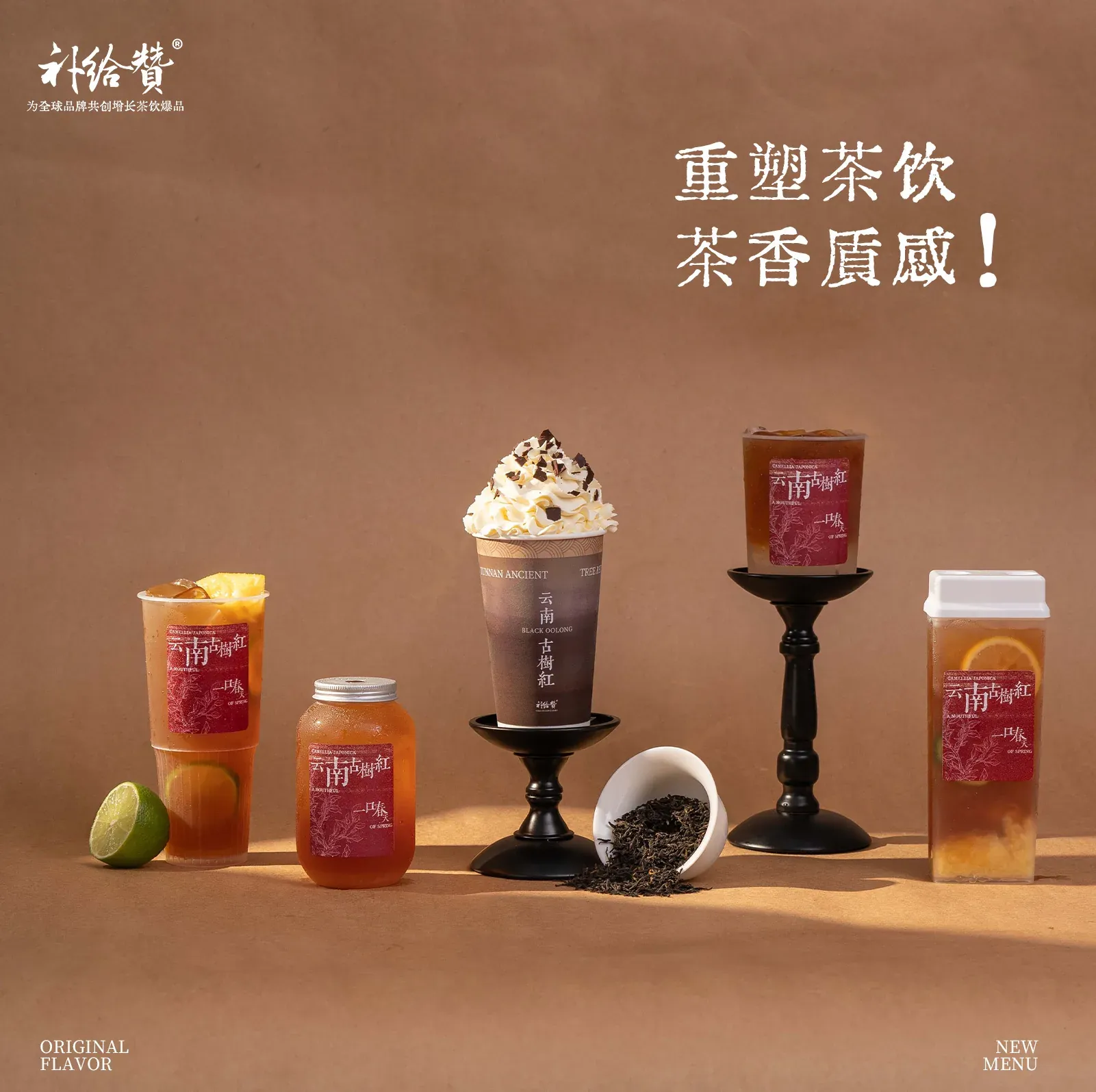 云南古树红 3